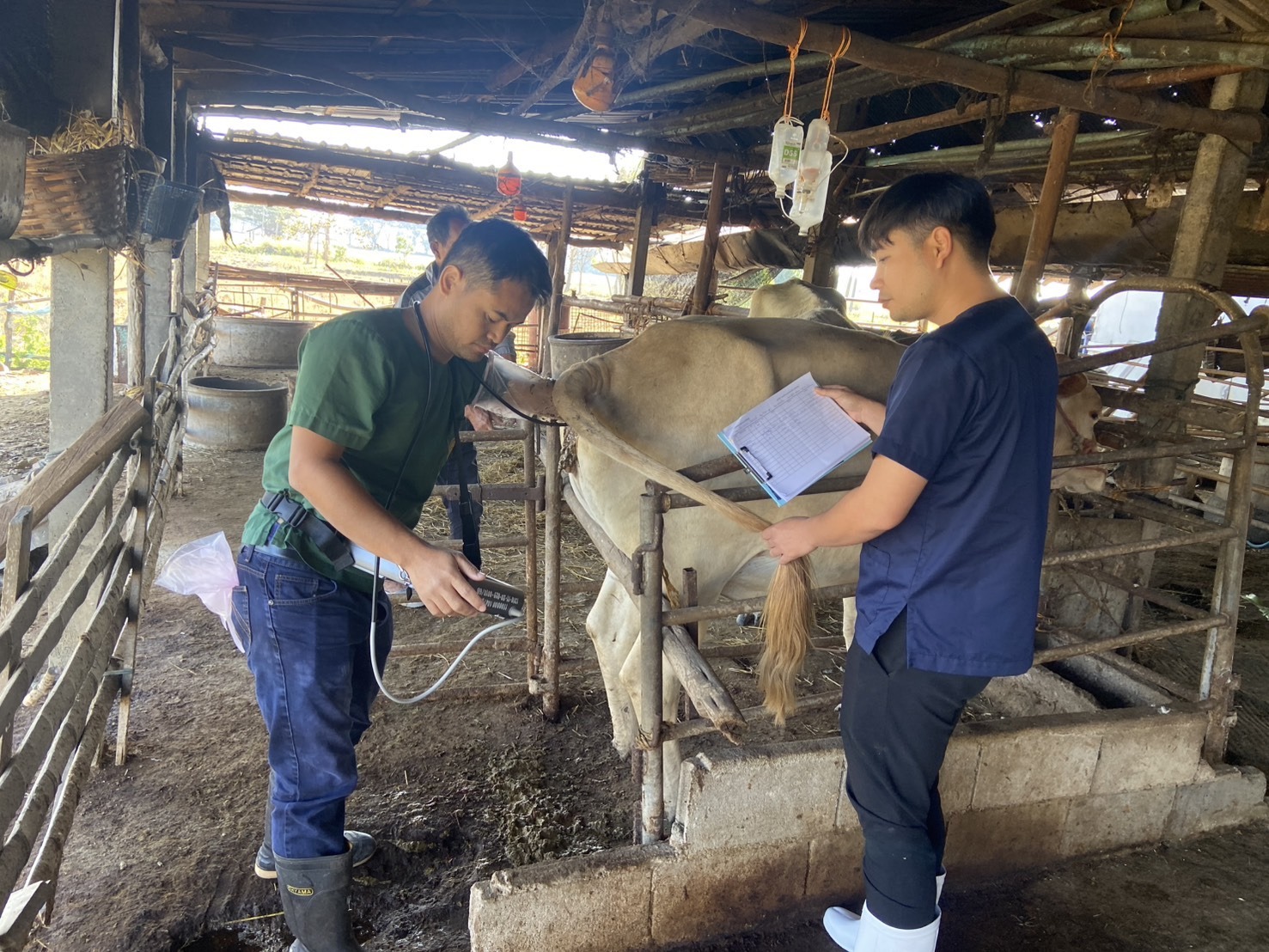 615276165 2133348300813063 9056704983328125642 n