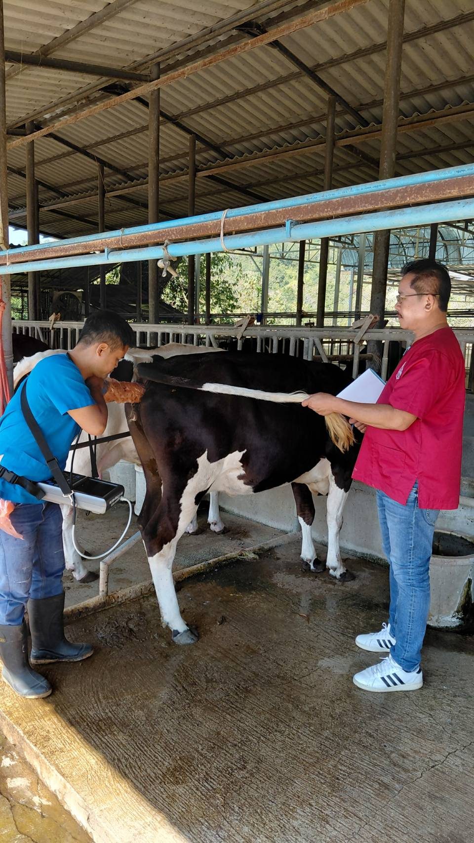 616200448 2139040430243850 4926164997580778268 n