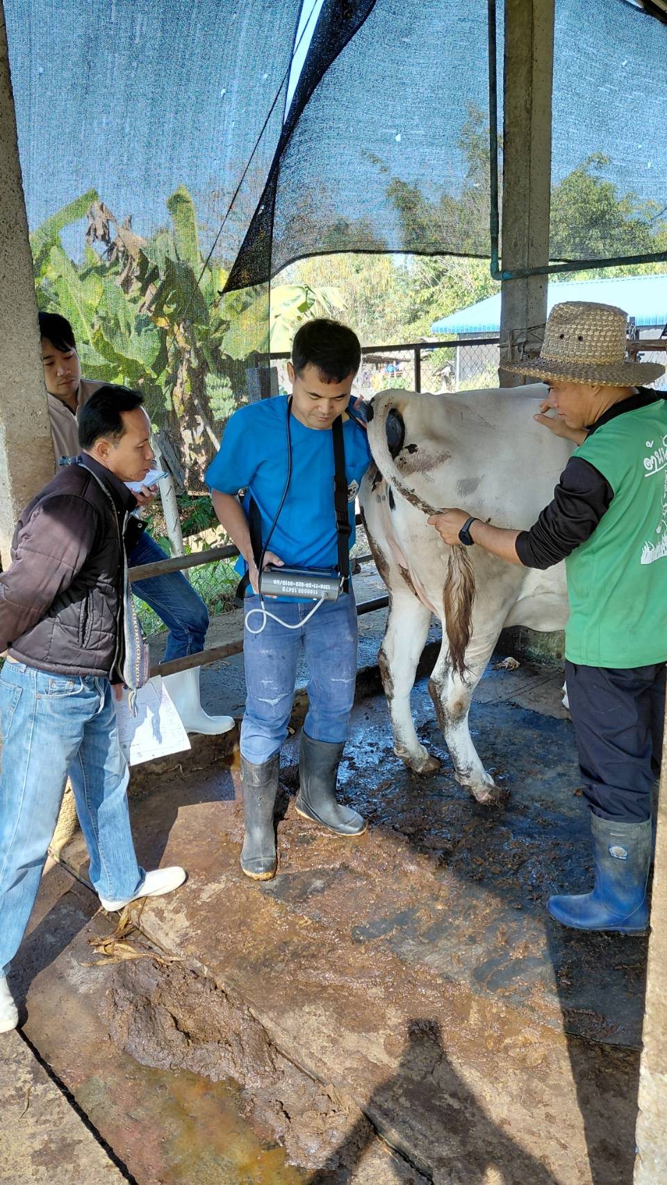 616825917 2139040476910512 1536448680131683288 n