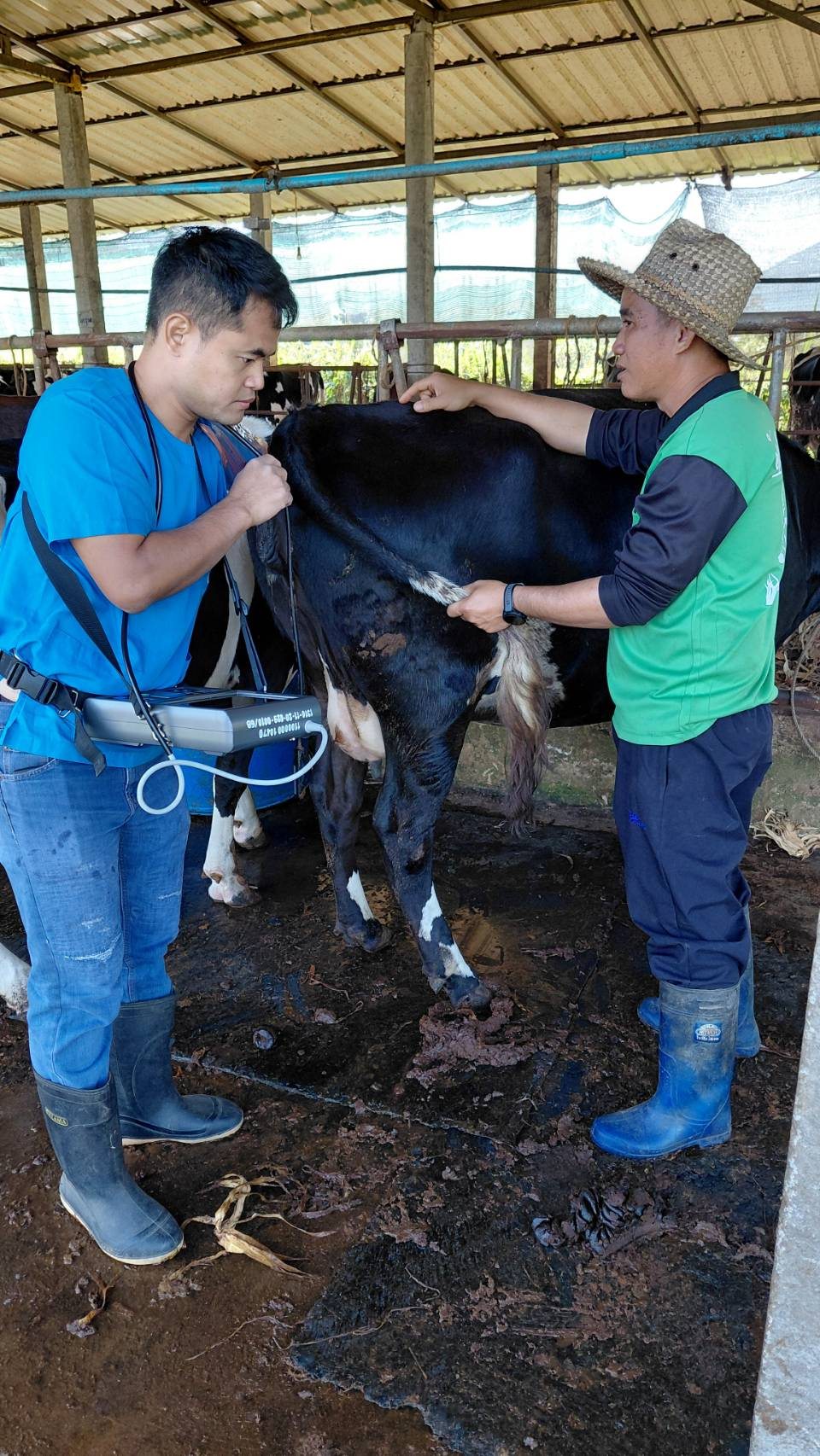 616835896 2139040543577172 5999185882687698364 n