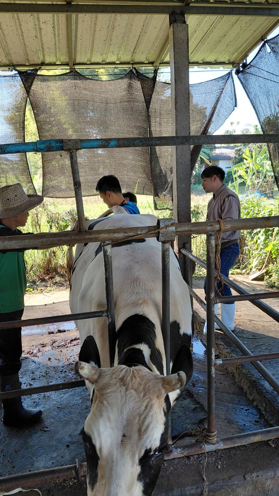 617602625 2139040993577127 6715783160962662147 n