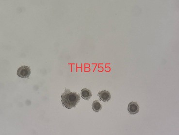 S 22446102 0
