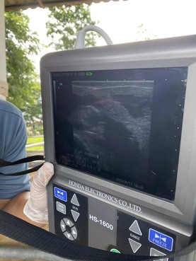 S 22626359 0