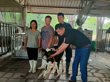 649300164 2182793139201912 7421130064992948018 n