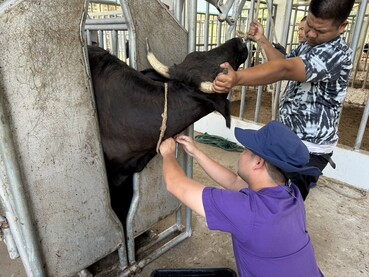 messageImage 1773981752971 0