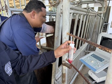 messageImage 1773981792917 0