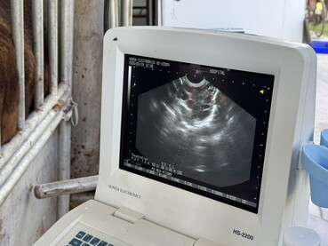 messageImage 1773981827025 0