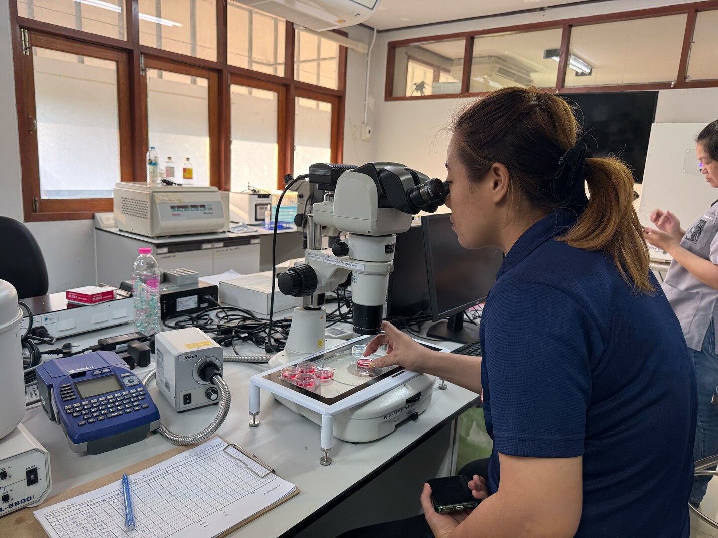 messageImage 1773981876904 0