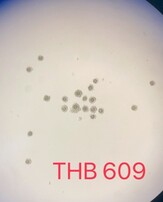 messageImage 1773981906419 0