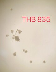 messageImage 1773981911254 0