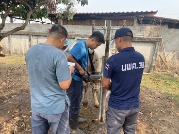 649086838 2181283159352910 6077788519381530243 n 1