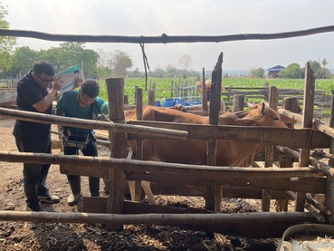 649790721 2181283599352866 244937053191549422 n