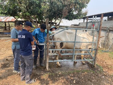 650101138 2181283252686234 9020827211392231362 n