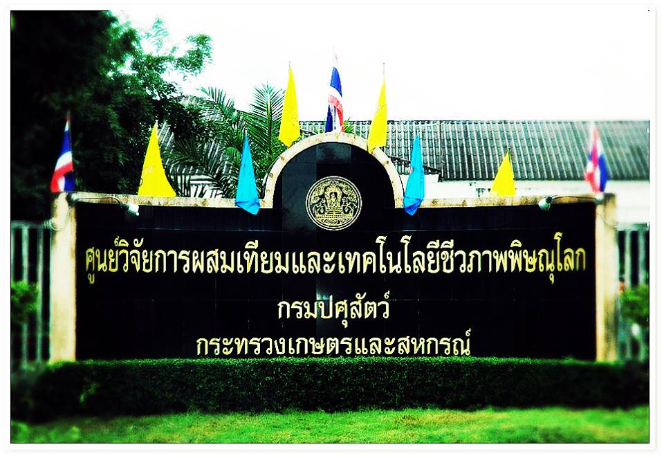 ปศุสัตววว