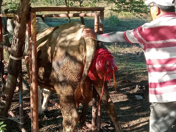 598251938 4199551147041956 8201011198901170108 n