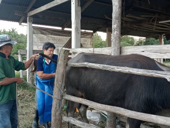 598874534 4199551213708616 8898188826606243527 n