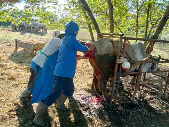 599937439 4199551140375290 6481220473373852178 n