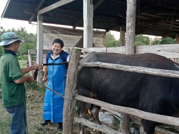 600479358 4199551137041957 5339769166362613145 n