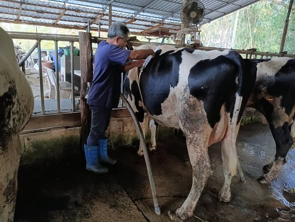 602339718 4212664145730656 76846625697319815 n