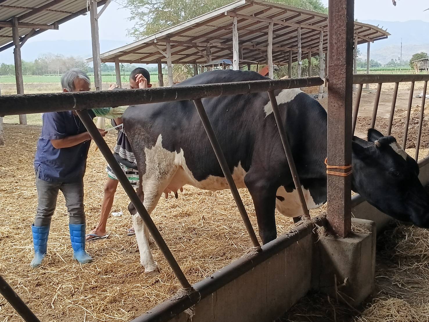 627704566 4271774983152905 7833685506325486511 n