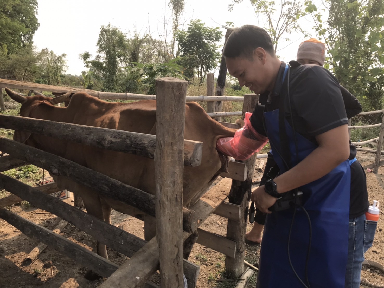 627771456 4270350279962042 5484452223473763350 n