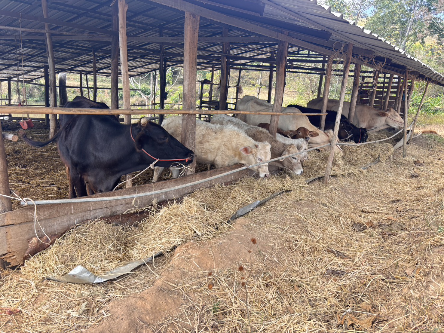 627930811 4270350256628711 6503121217245273925 n