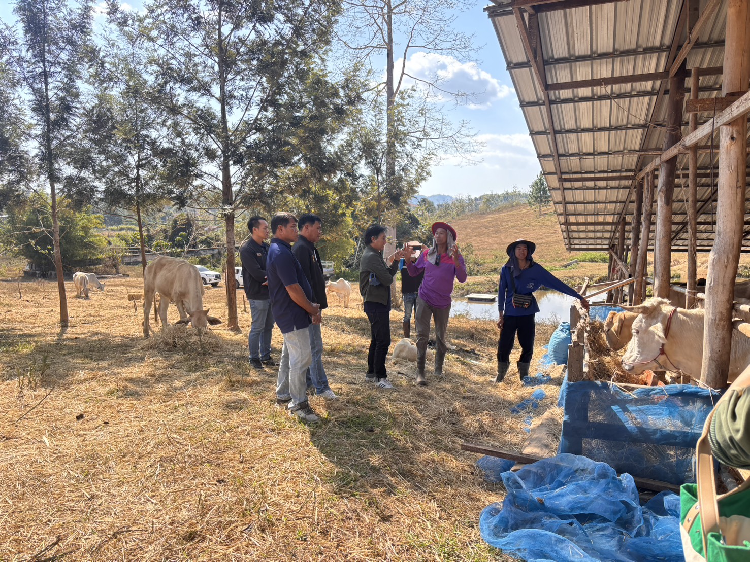 628457838 4270350196628717 4659107083895169129 n