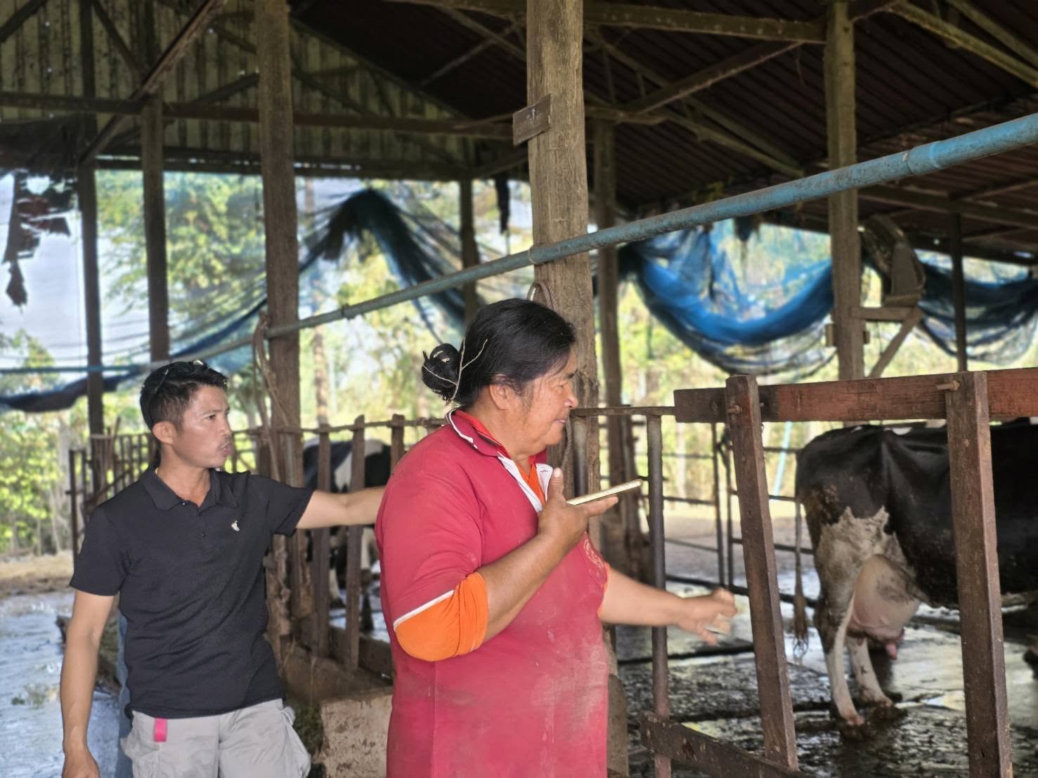 634345987 4283750975288639 1557963574430936118 n