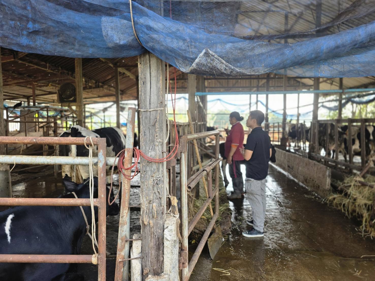 634815485 4283750908621979 3477150246840706266 n