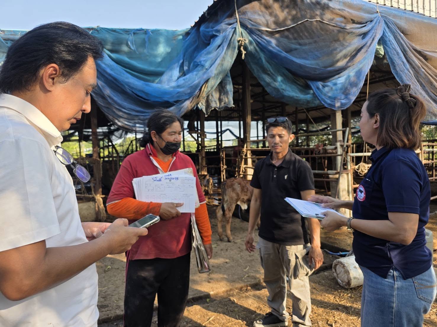 636884833 4283751218621948 6332903793620678089 n