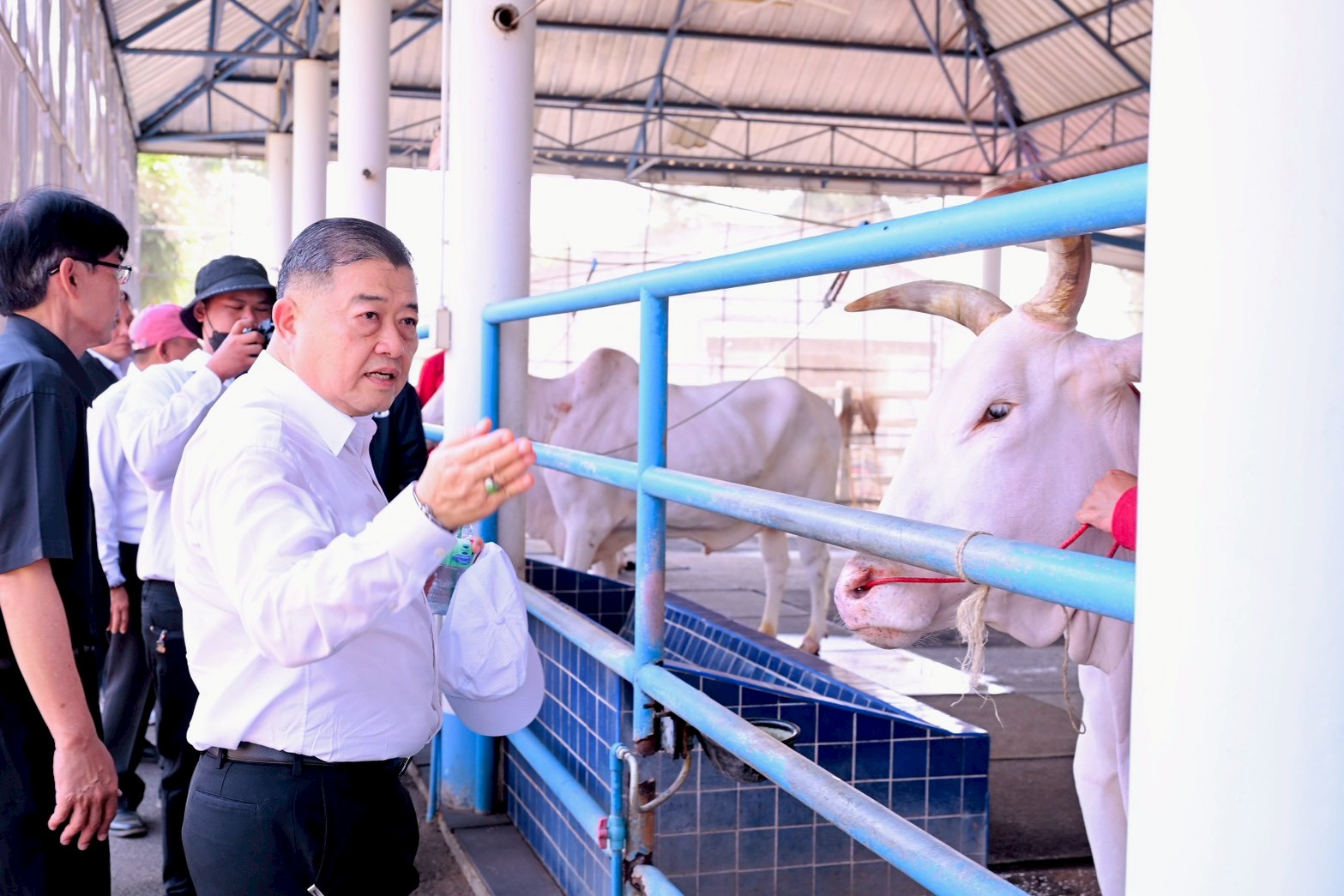 LINE ALBUM sxm phithi rae kna 31 3 69 260331 12