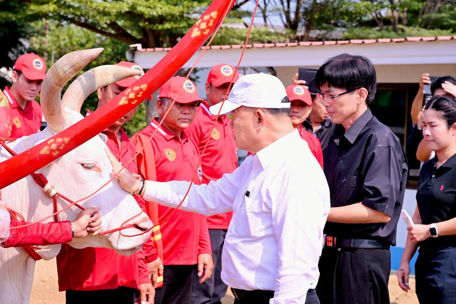 LINE ALBUM sxm phithi rae kna 31 3 69 260331 125