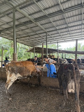 S 25878568 0