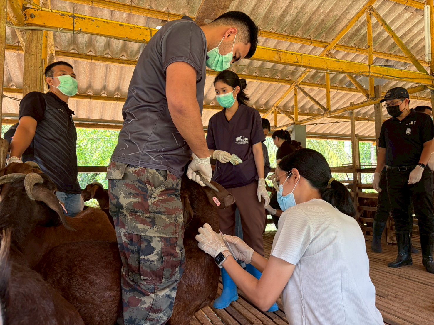 LINE ALBUM 10369 260310 1