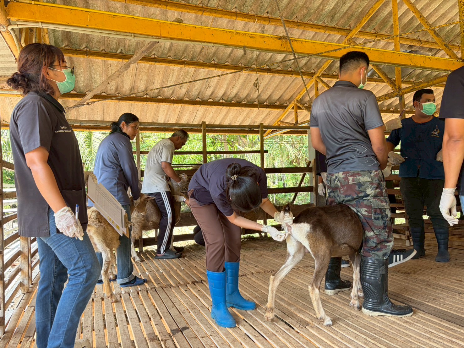 LINE ALBUM 10369 260310 10