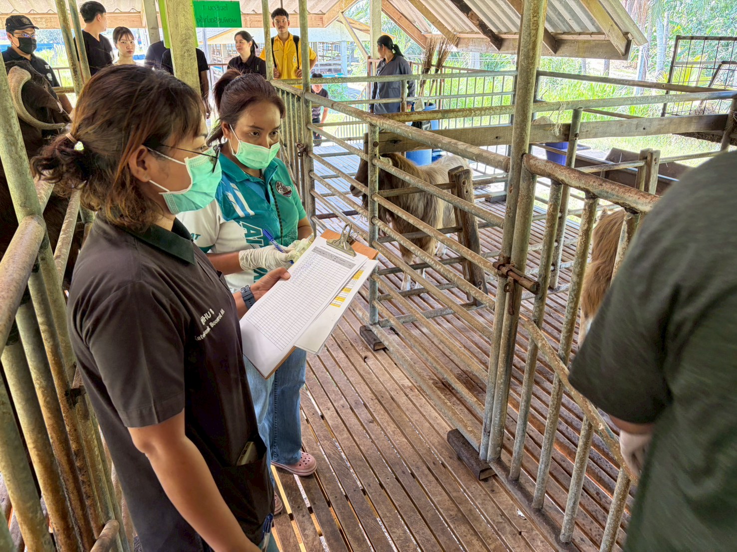 LINE ALBUM 10369 260310 11