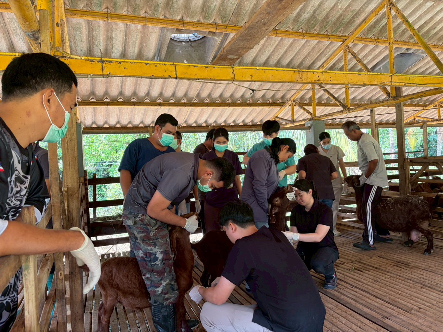 LINE ALBUM 10369 260310 3