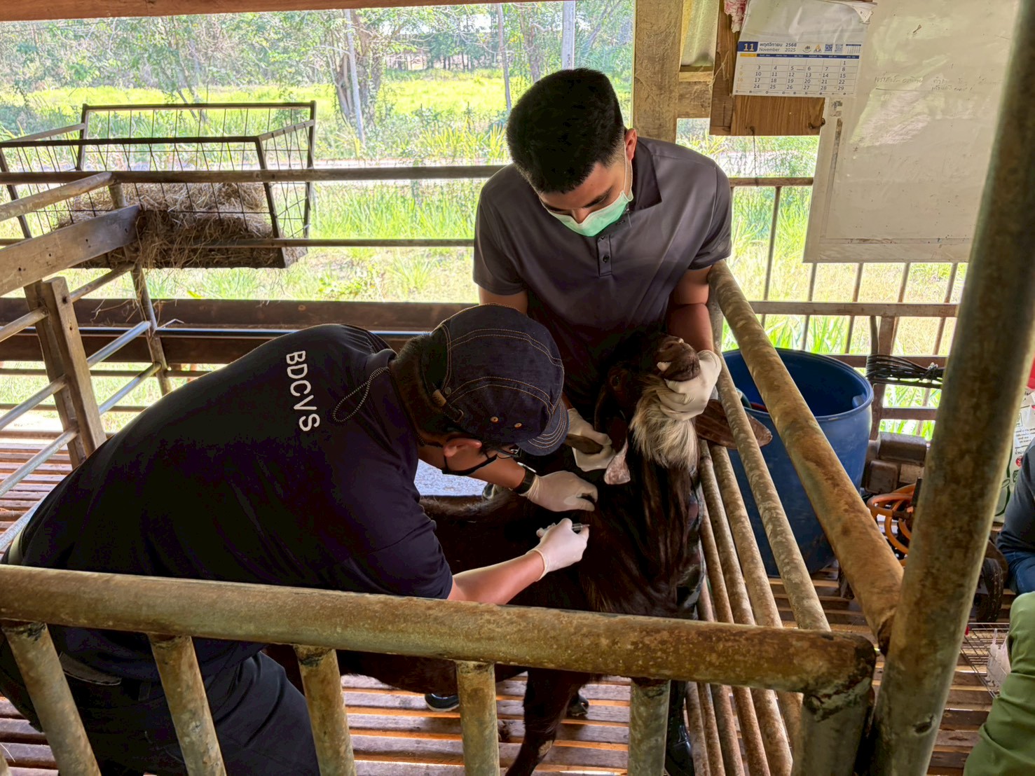 LINE ALBUM 10369 260310 4