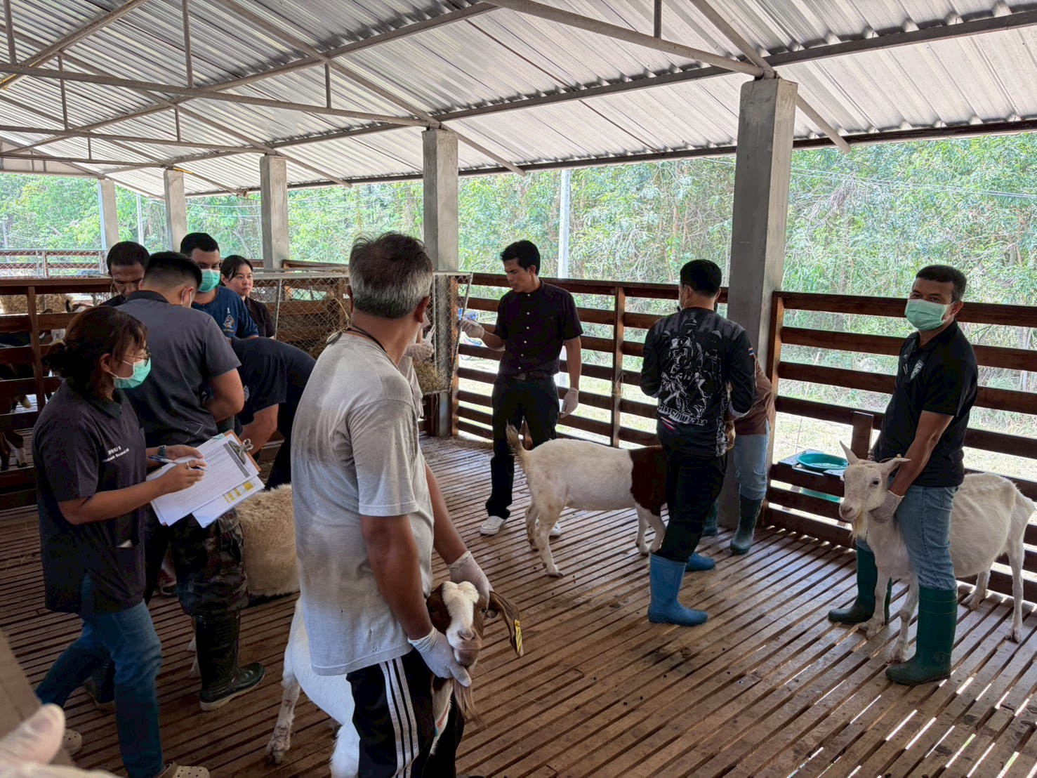 LINE ALBUM 10369 260310 6