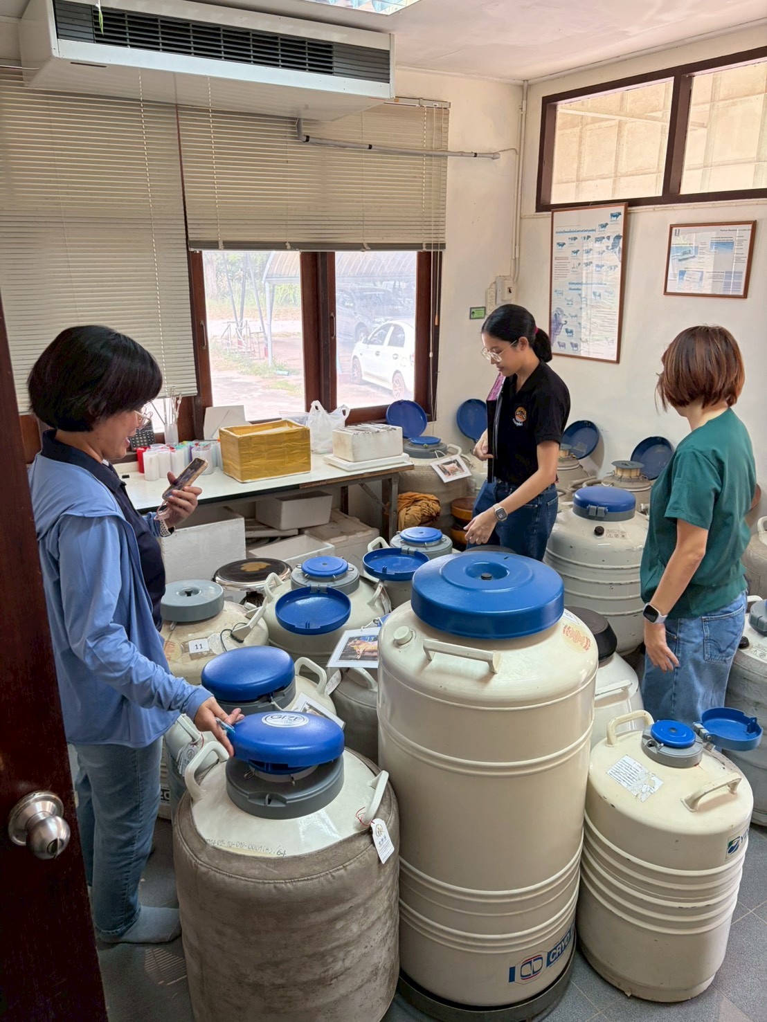 LINE ALBUM trwc pramein tx suny phlit na cheux 6369 260309 1