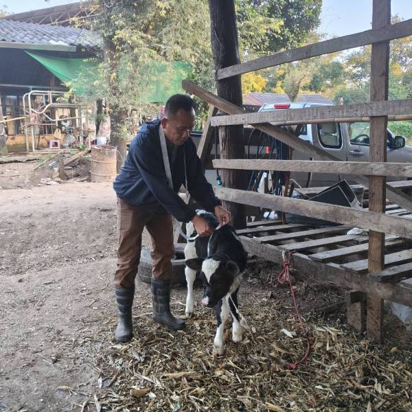 ทดสอบเปลี่ยนรูป