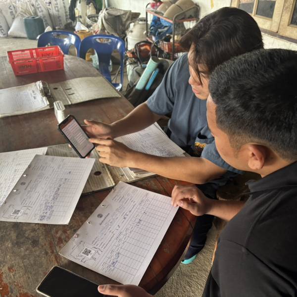 แก้ไขปัญหาผสมติดยาก ในโครงการ พัฒนาพ่อพันธุ์โคนมทรอปิคอลโฮลสไตน์