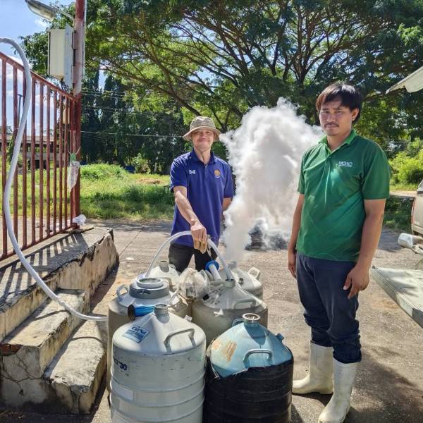 งานสนับสนุนวัสดุและอุปกรณ์ผสมเทียม