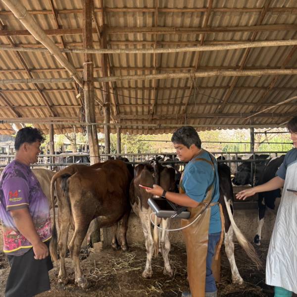 ส่งเสริมประสิทธิภาพระบบสืบพันธุ์โคนมระดับสหกรณ์ สหกรณ์โคนมนครปฐม 