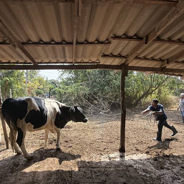 ตรวจระบบสืบพันธุ์และแก้ไขปัญหาผสมติดยาก