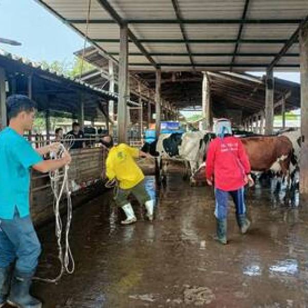 วันที่ 16 มีนาคม 2569 ศผท.เชียงใหม่ รุกพื้นที่ดอยหล่อ-จอมทอง เตรียมความพร้อมย้ายฝากตัวอ่อนโคนม 