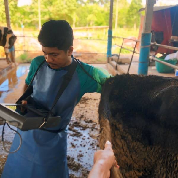 วันที่ 17 มีนาคม 2569 ศผท.สงขลา ลุยงานฟาร์มโคนม รุกตรวจระบบสืบพันธุ์และแก้ไขปัญหาผสมติดยากในพื้นที่