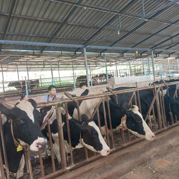 แก้ไขปัญหาระบบสืบพันธุ์