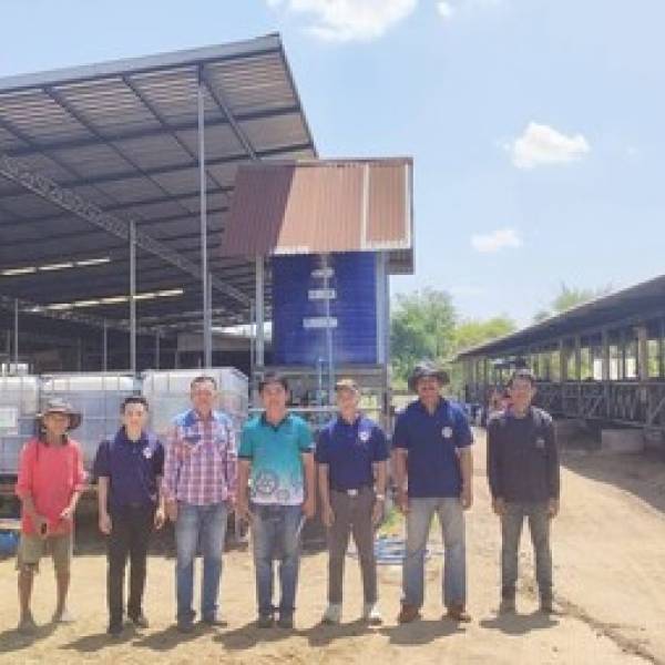 เพิ่มประสิทธิภาพการผลิตเนื้อโคขุนคุณภาพสูง