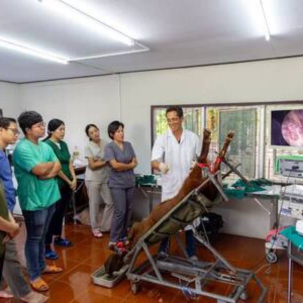 การจัดการฝึกอบรม หลักสูตรการผลิตแพะ-แกะ ด้วยเทคโนโลยีชีวภาพ 